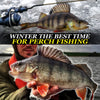 Winter The Best Time for Perch Fishing