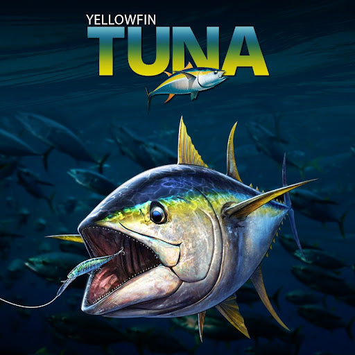 Yellowfin Tuna - Fishing Nice