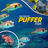 Freshwater Puffer Fish