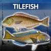 Tilefish-good eats from the bottom
