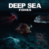 Deep-Sea Creatures