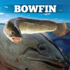 Bowfin~The Living Fossil