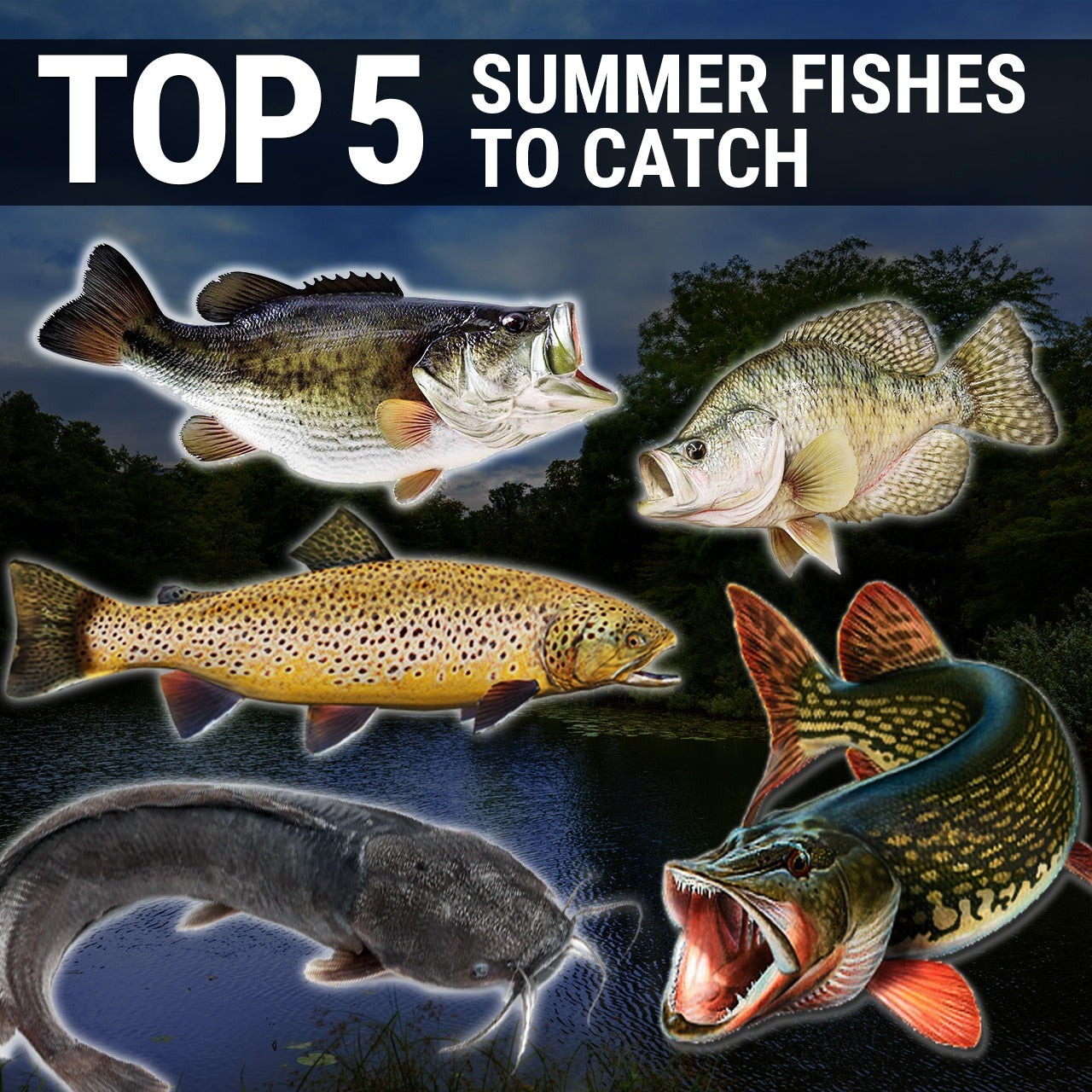 5 Tips To Catch More Fish With Your Kids