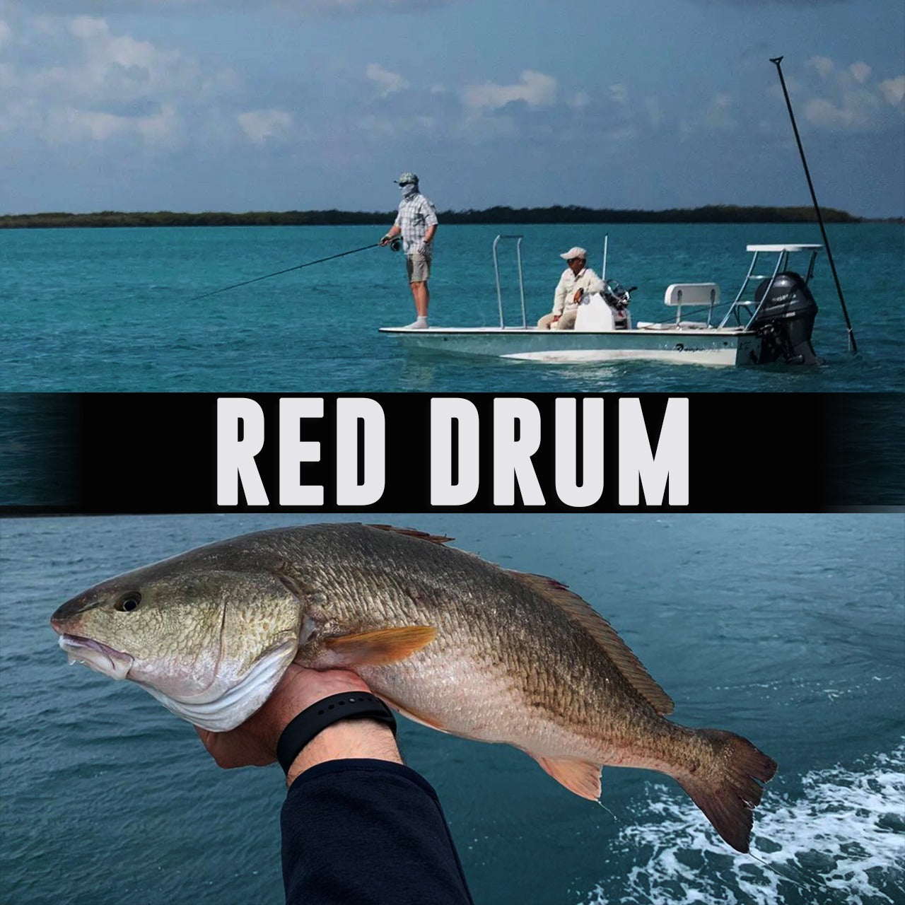 Redfish Drum Fishing The Legend Name Funny Socks