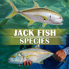 Mighty Jack Fish Species