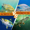 Saltwater Fish Vs Freshwater Fish