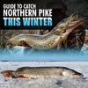 Guide to Catch Northern Pike This Winter