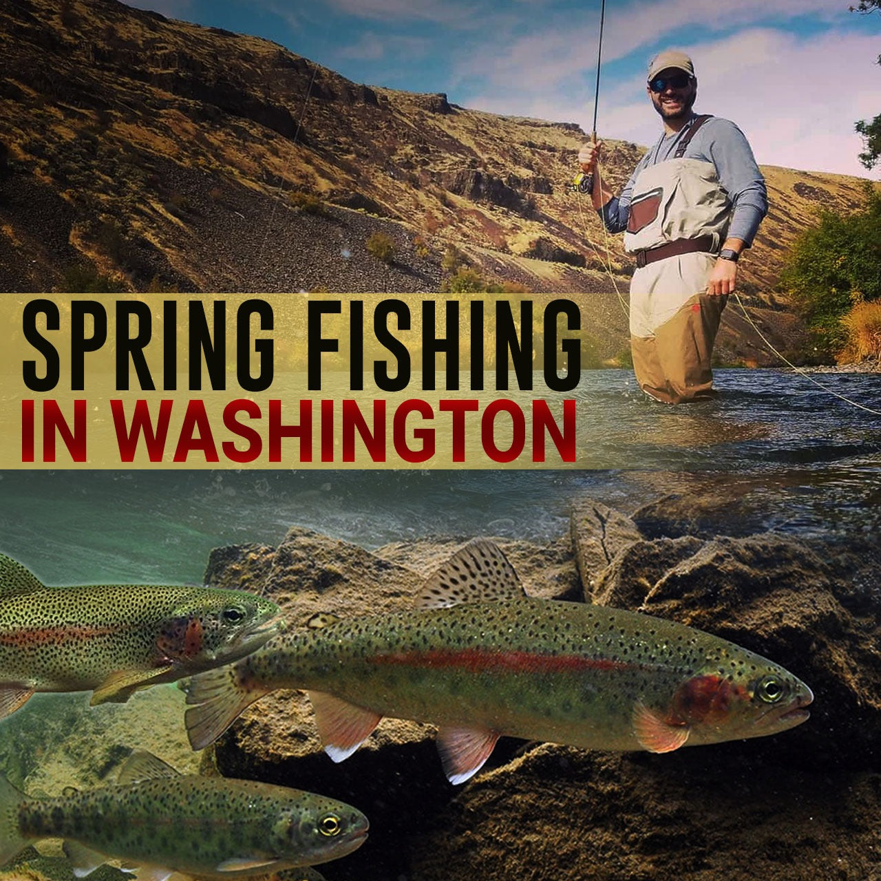 Spring Fishing in Washington - Fishing Nice