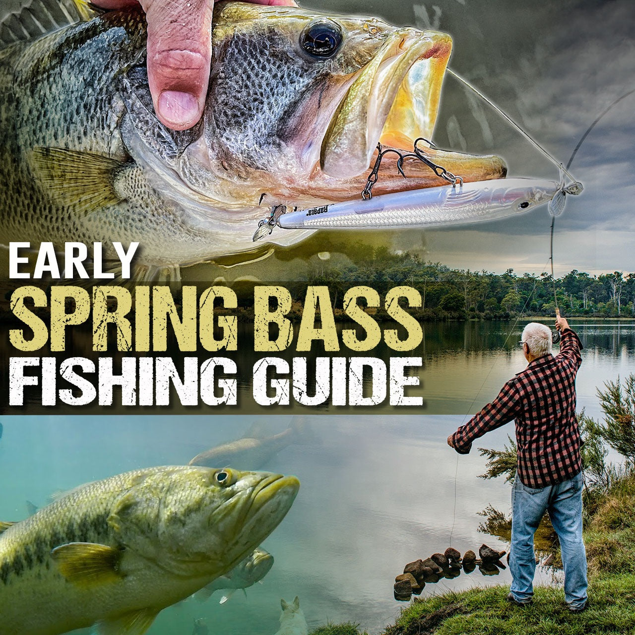 Early Spring Bass Fishing Guide - Fishing Nice