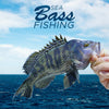 Get Ready For Sea Bass Fishing