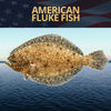 American's Favorite Fluke Fish